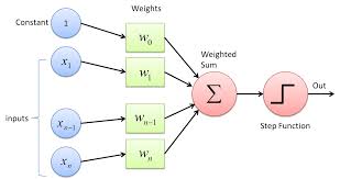 Neurona Artificial - El Perceptrón